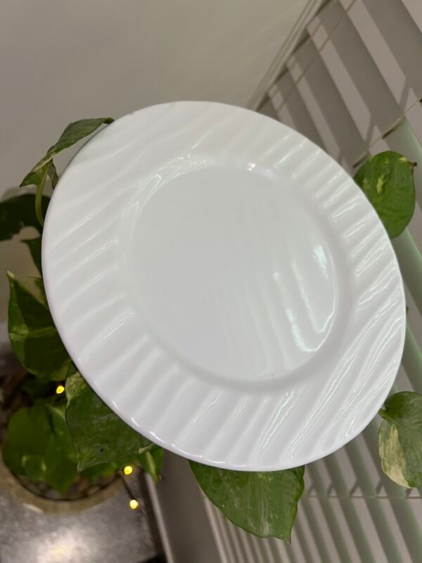 6pc Premium Melamine Food Plates - Image 4