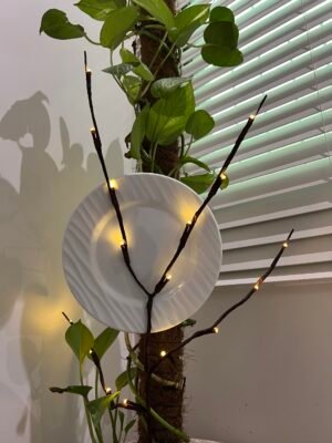 6pc Premium Melamine Food Plates