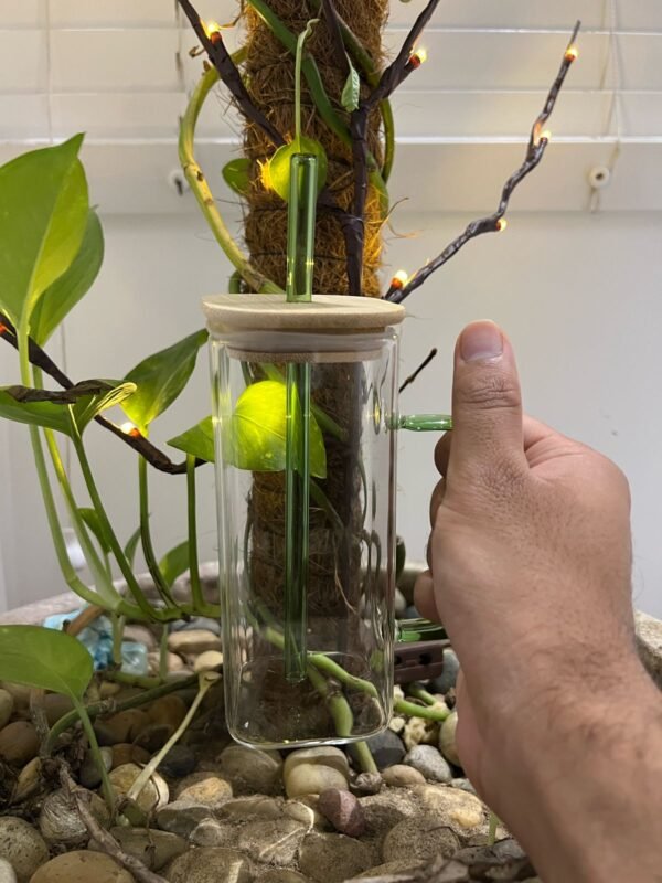 1pc of a Transparent Square Glass - Image 4