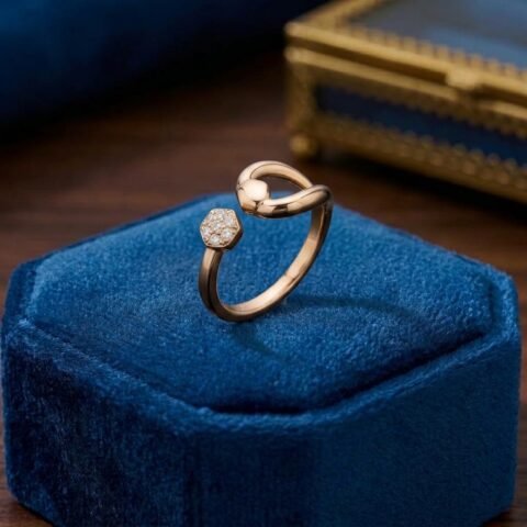 Elegant Open-Circle Statement Ring